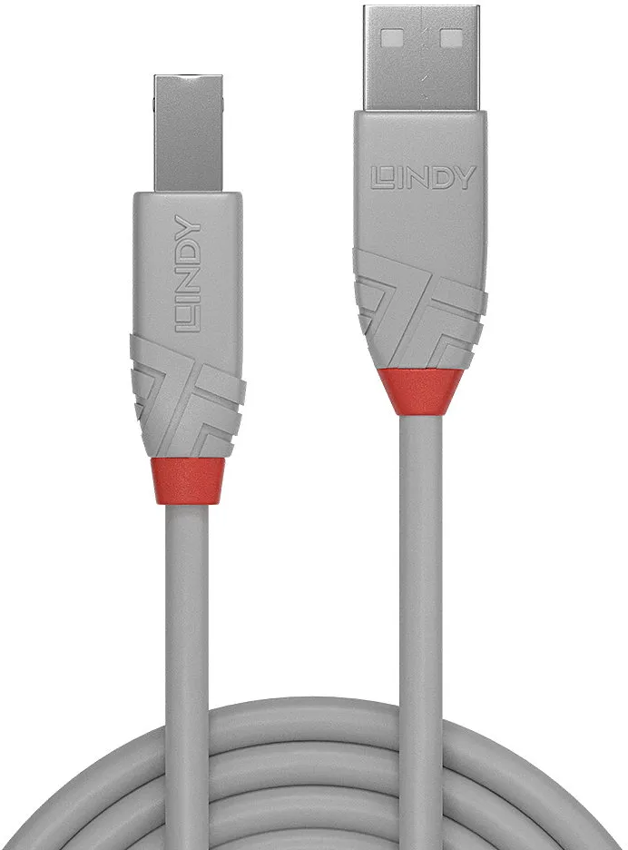 Cable Lindy USB 2.0 type A - B M/M 3m (Gris)