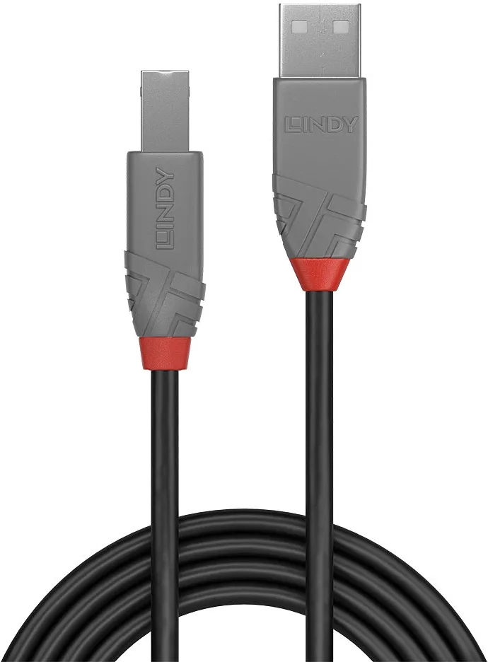 Cable Lindy USB 2.0 type A - B M/M 2m (Gris)