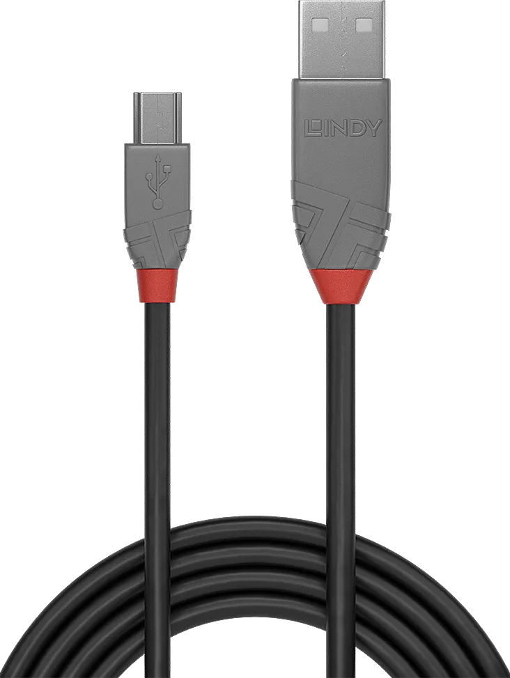 Cable Lindy USB 2.0 type A - Mini B M/M 2m (Gris)