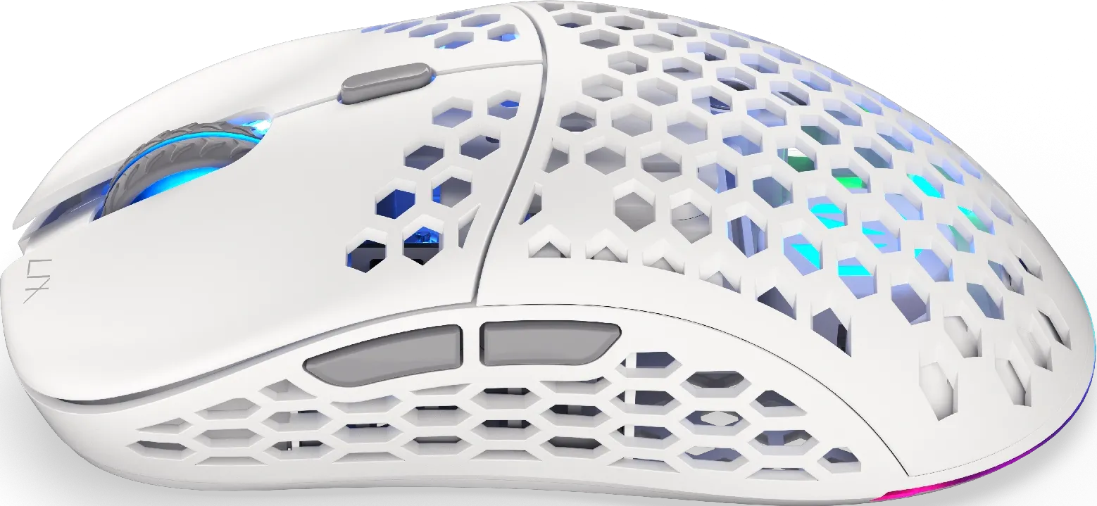 Souris sans fil Gamer Endorfy Lix Onyx RGB (Blanc)