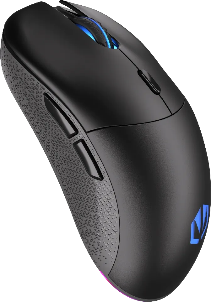 Souris sans fil Gamer Endorfy Gem Plus RGB (Noir)