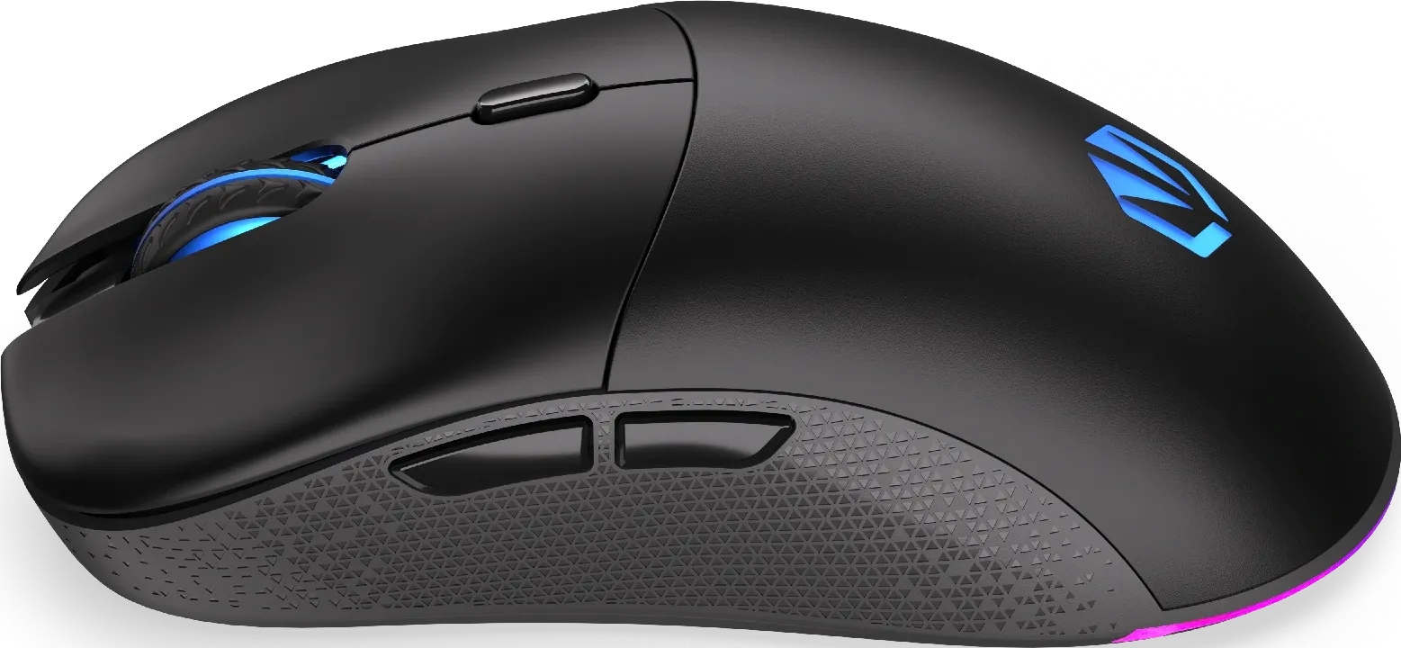 Souris sans fil Gamer Endorfy Gem Plus RGB (Noir)