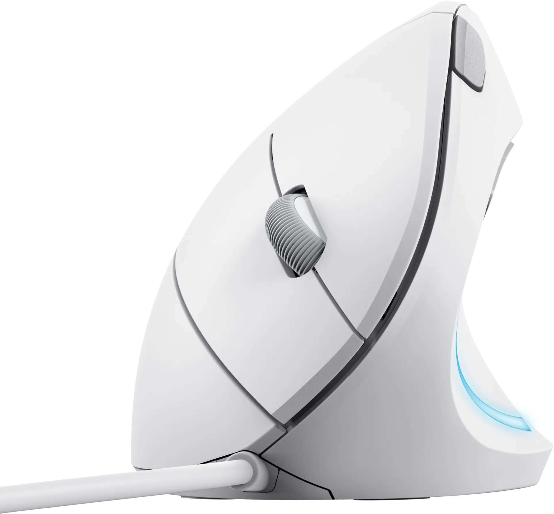 Souris filaire ergonomique Trust Verto (Blanc) 