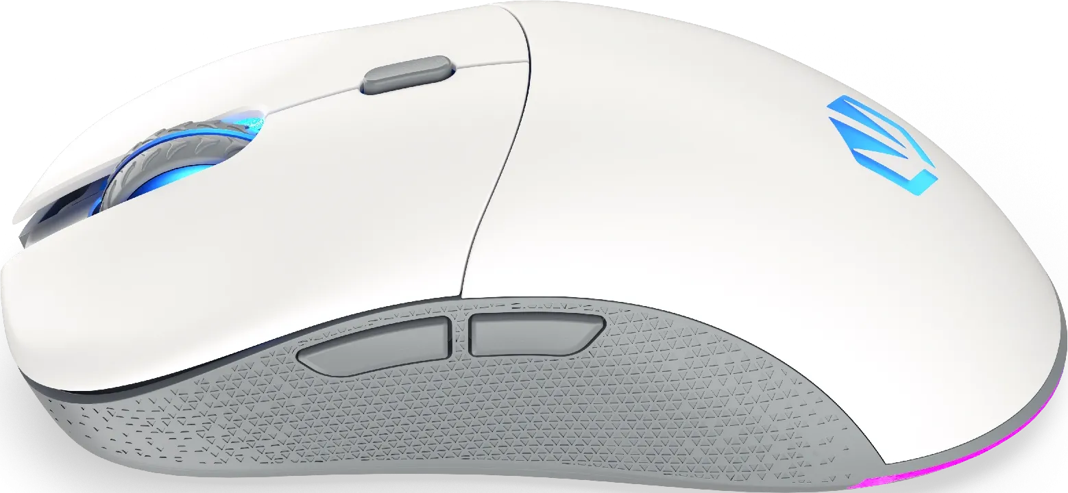 Souris sans fil Gamer Endorfy Gem Plus Onyx RGB (Blanc)