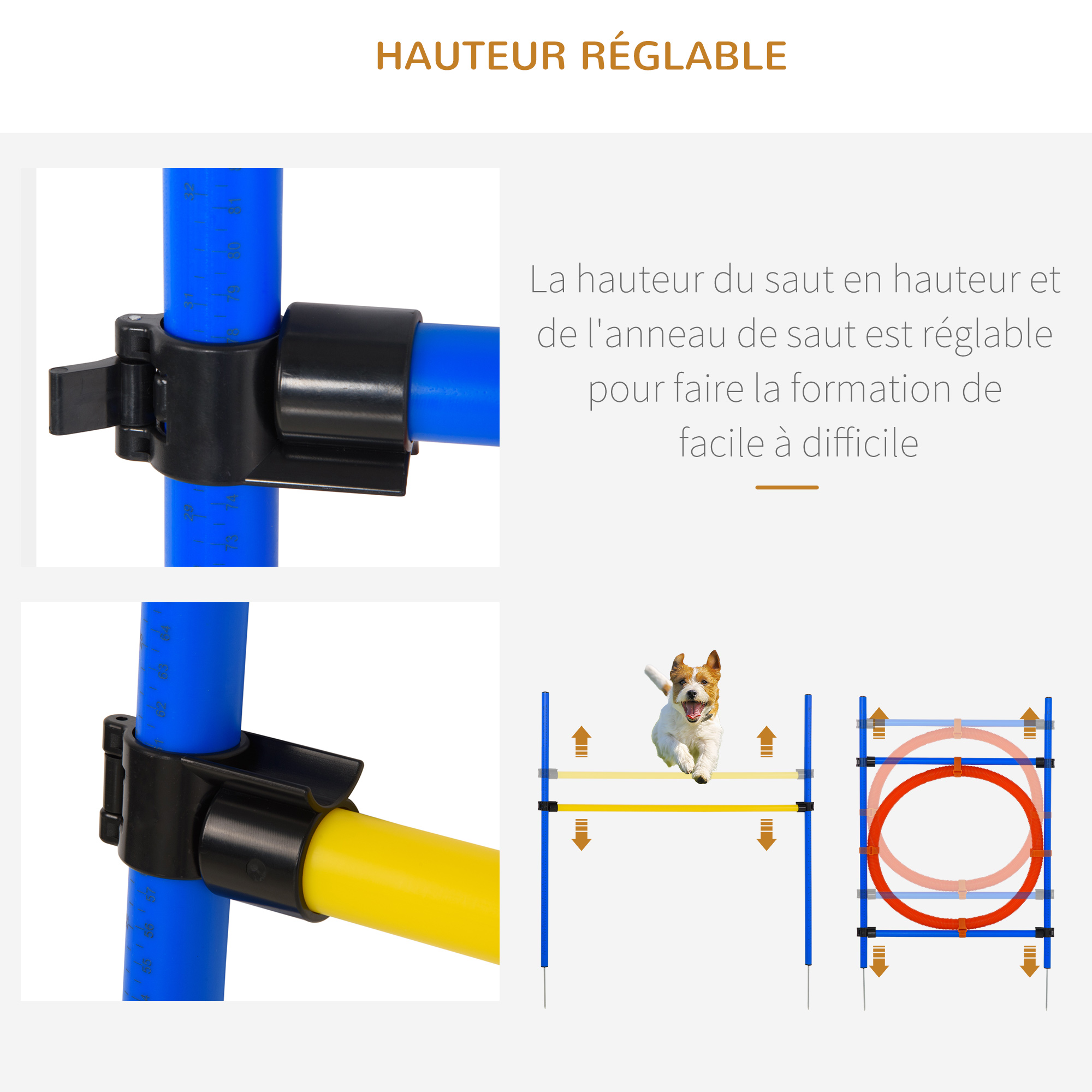 Agility sport pour chiens équipement complet bleu jaune rouge